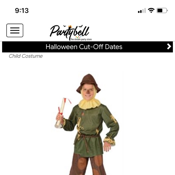 Kids Wizard of Oz Scarecrow Costume - Green and Brown - Picture 2 of 5